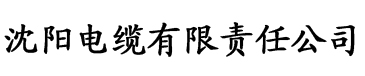 淘精影院电缆厂logo